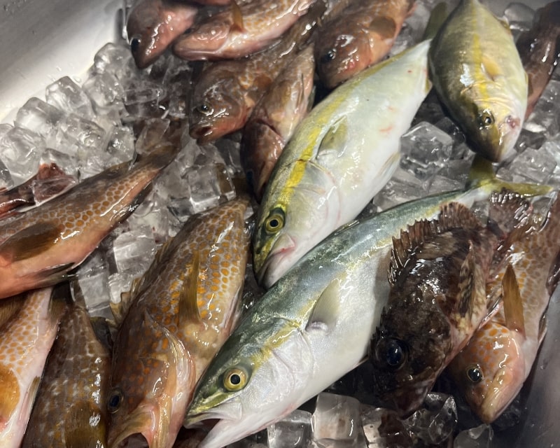 釣り
